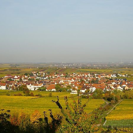 Ferienwohnung Knittel 卡尔斯达特 外观 照片